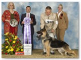 October 2008
Reserve Winners with George Berstler
Judge - Michele Chaloux