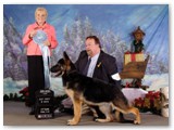 November 2009
Best Puppy in Show with Ron Peet
Judge - Cec Ringstrom